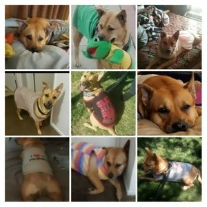 RIP Pennie ❤ BFF 2015-2024